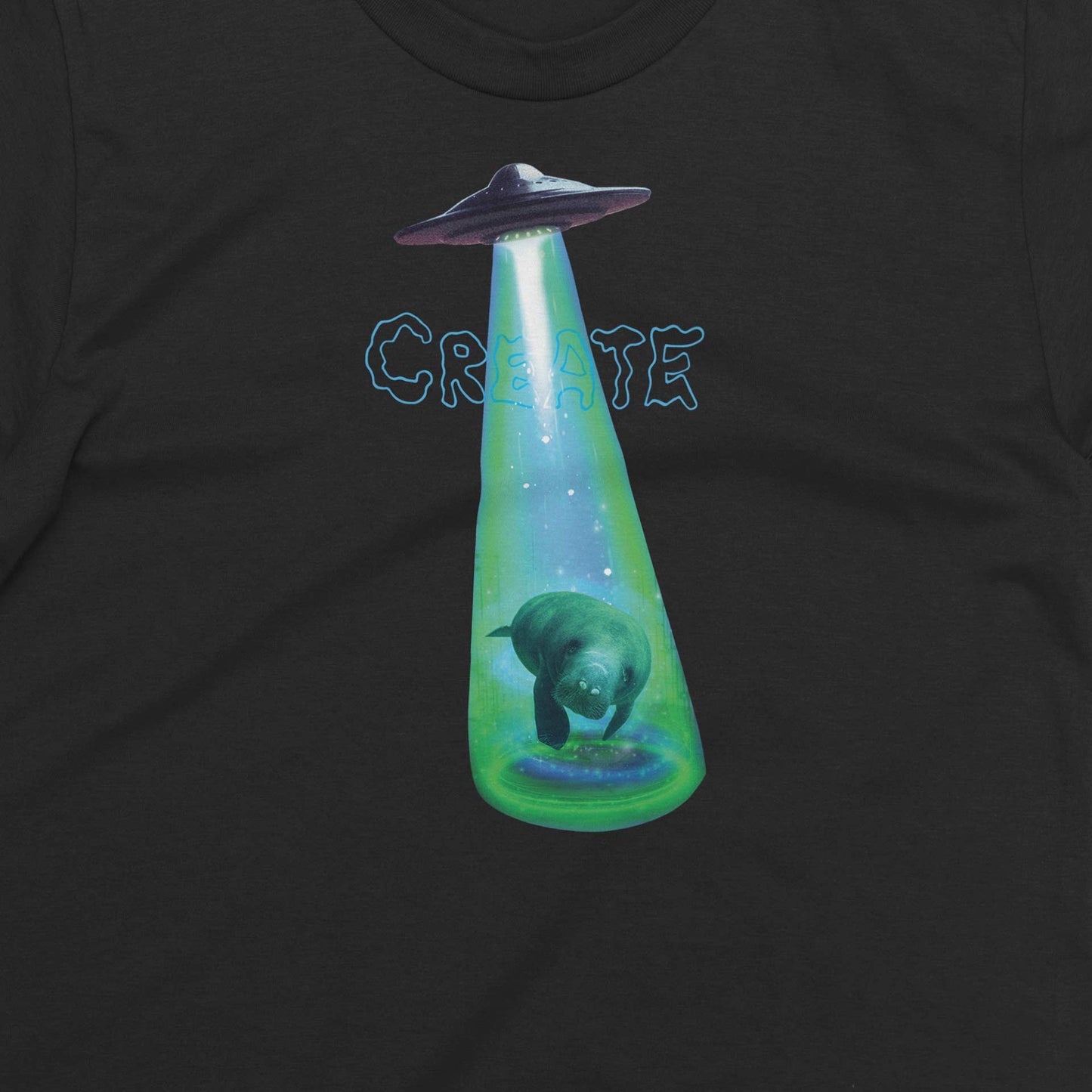 UFO MANATEE