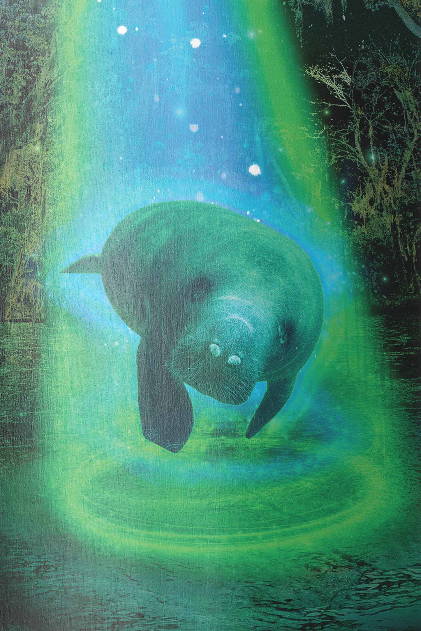 UFO Sea Cow 👽🛸