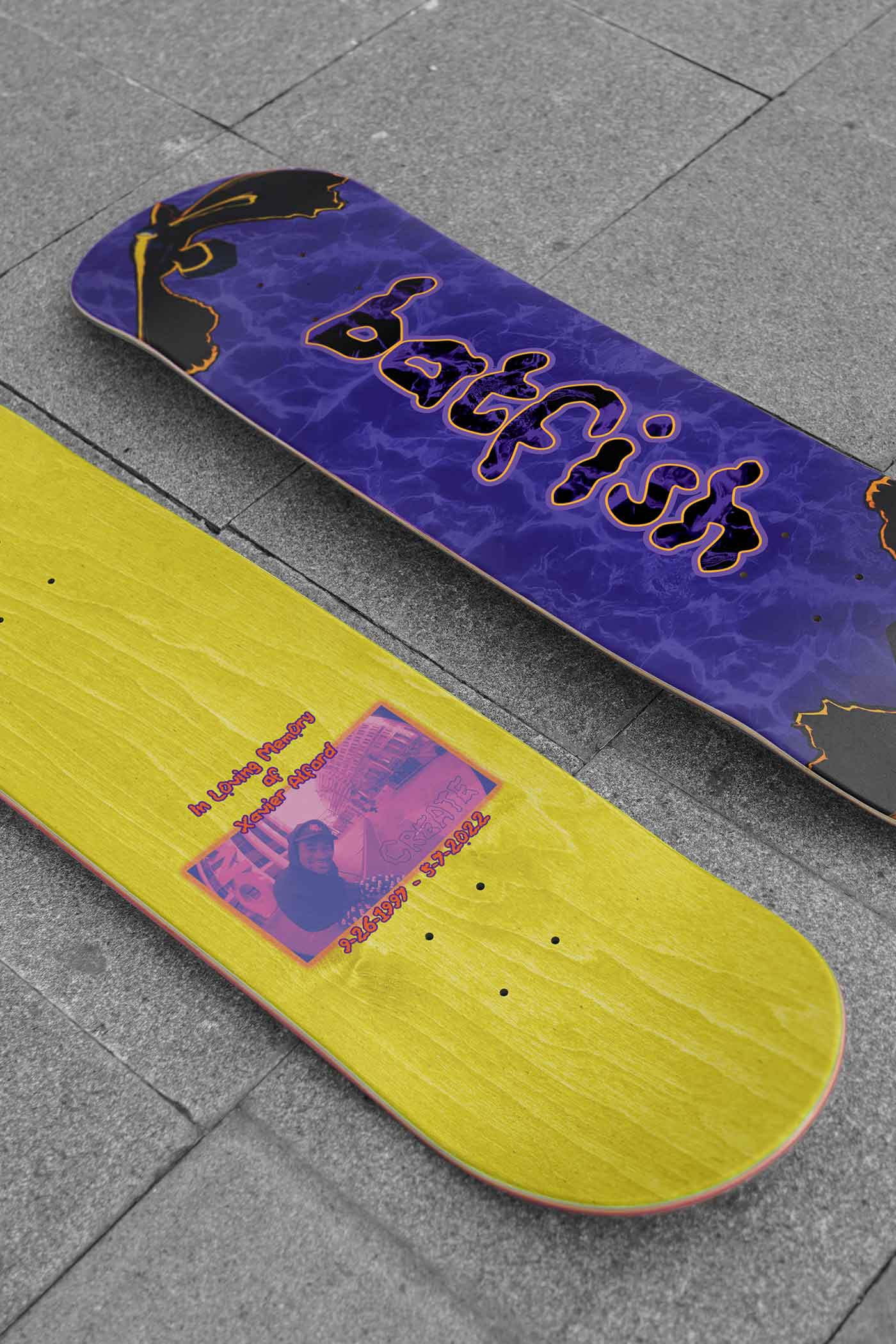 BatFish Pro 🦇🐠